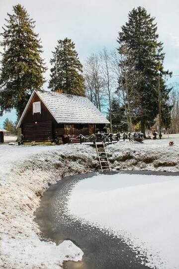 Фото номера Дом для отпуска Дома для отпуска Loovälja Sauna house г. Limu 33